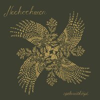 Nechochwen - spelewithiipi vinyl cover
