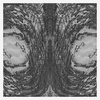 Necro Deathmort - Capsule vinyl cover