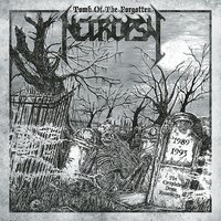 Necropsy - Tomb Of The Forgotten The Complete Demo Recordings 1989-1993 vinyl cover
