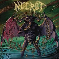 Necrot - Lifeless Birth vinyl cover