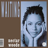 Nectar Woode - For The Best vinyl cover