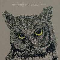 NEEDTOBREATHE - Live From The Woods vinyl cover