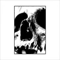 Negativa - 3 vinyl cover