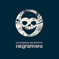 Negramaro - La Rivoluzione Sta Arrivando vinyl cover
