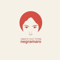 Negramaro - N20 Amore Che Torni vinyl cover