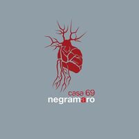 Negramaro - N20 Casa 69 vinyl cover