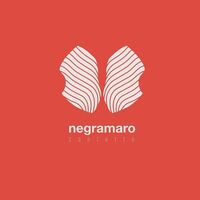 Negramaro - N20 Contatto (Transparent) vinyl cover