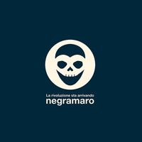 Negramaro - N20 La Rivoluzione Sta Arrivando vinyl cover