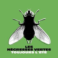 Negresses Vertes - Toujours l'ete Best Of vinyl cover