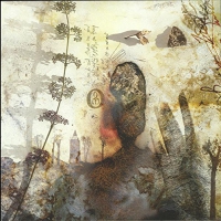 Negura Bunget - Om vinyl cover