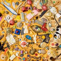 Neighbor Lady - For The Birds vinyl cover