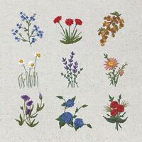 Neighbor Lady - Maybe Later vinyl cover