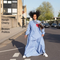 Neneh Cherry - Broken Politics vinyl cover