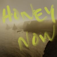 Neon Waltz - Honey Now vinyl cover