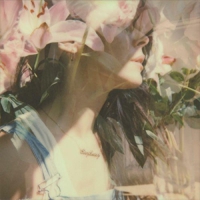 Nerina Pallot - Stay Lucky vinyl cover