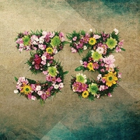 Nery - 33 vinyl cover