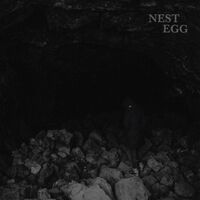 Nest Egg - Nothingness Is Not A Curse vinyl cover