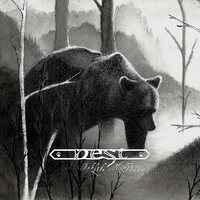 Nest - Fabled Lore/Hidden Stream vinyl cover