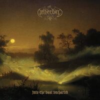Netherbird - Into The Vast Uncharted vinyl cover