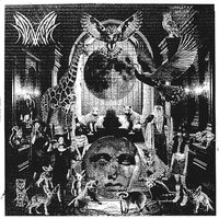 Never - The Gray vinyl cover