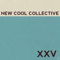 New Cool Collective - Xxv vinyl cover