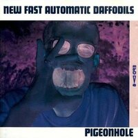 New Fast Automatic Daffodils - Pigeonhole vinyl cover