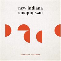 New Indiana - Darkness Sunshine vinyl cover