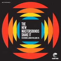 New Mastersounds - Shake It vinyl cover