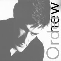 New Order - LOw-Life 2015 vinyl cover