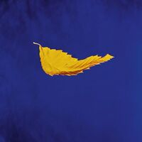 New Order - True Faith 2023 vinyl cover