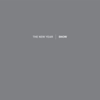 New Year - Snow vinyl cover