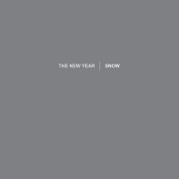 New Year - Snow vinyl cover