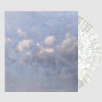Newmoon - Temporary Light vinyl cover