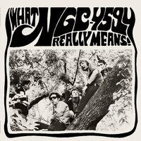 Ngc-4594 - WHat Ngc-4594 Really Means! vinyl cover