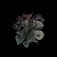 Nhor - Wildflowers vinyl cover