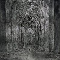 Nhor - Within The Darkness Between The Starlight vinyl cover