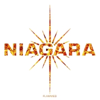 Niagara - Flammes vinyl cover