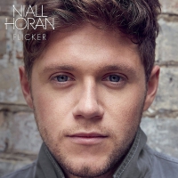 Niall Horan - Flicker vinyl cover
