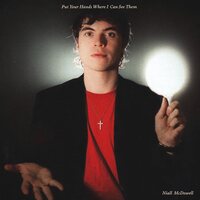 Niall McDowell - Put Your Hands Where I Can See Them vinyl cover