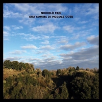 Niccolò Fabi - Una Somma Di Piccole Cose vinyl cover