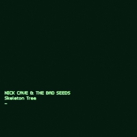 Nick Cave - Skeleton Tree vinyl cover