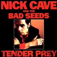 Nick Cave - Tender Prey