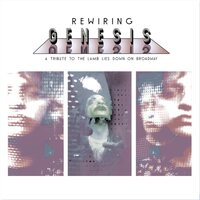 Nick D'Virgilio - Rewiring Genesis: A Tribute To The Lamb Lies Down On Broadway vinyl cover