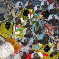 Nick Hakim - Will This Make Me Good vinyl cover