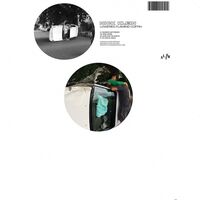 Nick Klein - Lowered Flaming Coffin vinyl cover