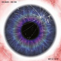 Nick Mason & Rick Fenn - White of the Eye Soundtrack vinyl cover