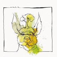Nico Acid Pauli / Stojan - Call Of The Valley vinyl cover