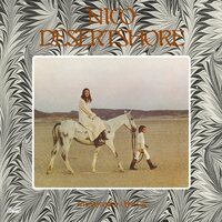 Nico - Desertshore vinyl cover