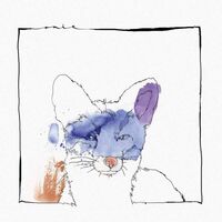 Nico Stojan - Cardano vinyl cover