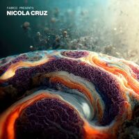 Nicola Cruz - Fabric Presents Nicola Cruz